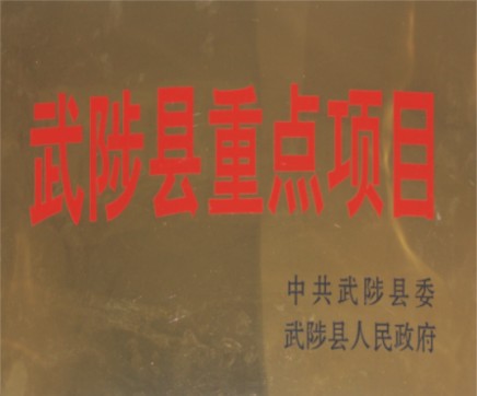 武陟县重点项目