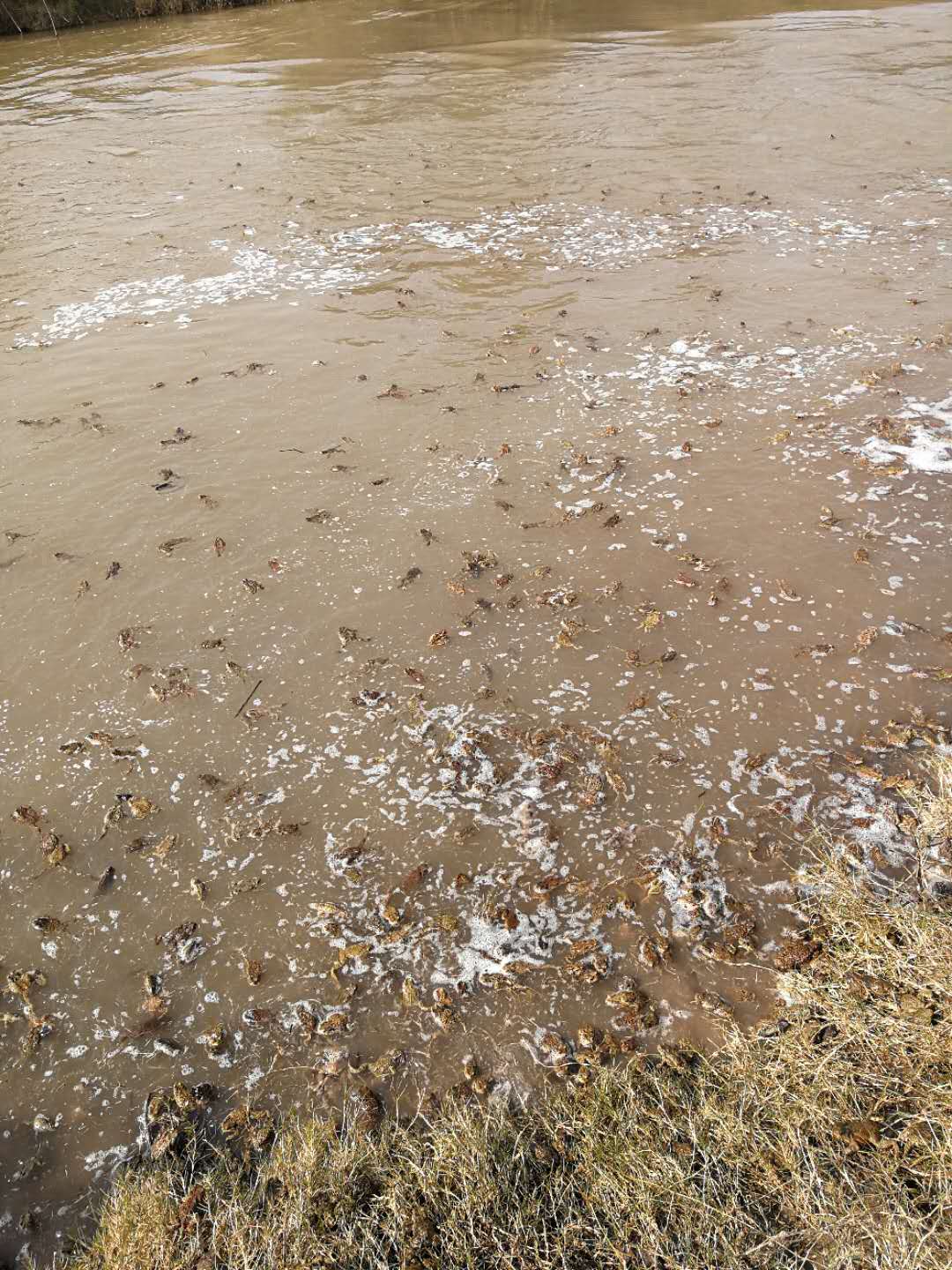 1533626415160252.jpg 162U4CS-2.jpg