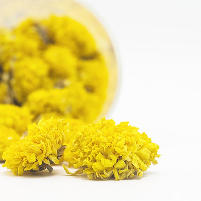 1534557504205358.jpg 怀菊花.jpg